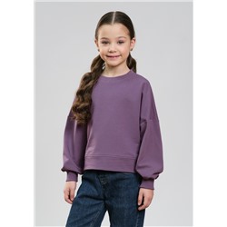 Алексис, Свитшот