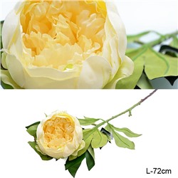 Цветок искусственный Пион кремовый 72 см / W118 /уп 30/180/