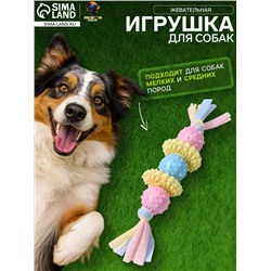 Игрушка жевательная Пижон Premium на верёвке, 5 элементов, термопластичная резина, МИКС