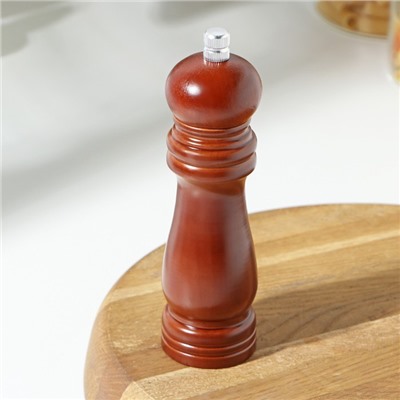 Мельница для специй Доляна, 17×4.5 см, металлический механизм, цвет коричневый