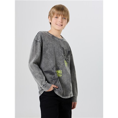 ЛОНГСЛИВ ДЛЯ МАЛЬЧИКОВ 123434/1