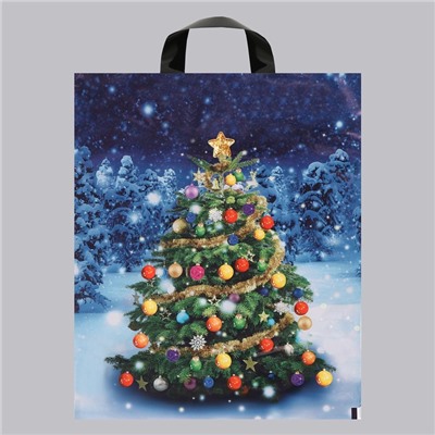 Пакет новогодний «Зимняя красавица», полиэтиленовый с петлевой ручкой, 28×35 см, 50 мкм