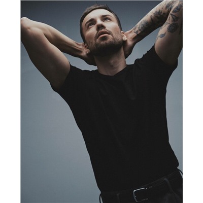 Фуфайка мужская DIWARI Фуфайка BASIC MF 310-10