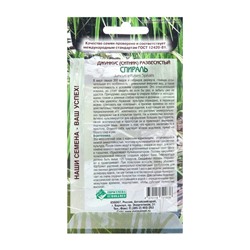 Семена цветов Джункус развесистый "Спираль", 5 шт