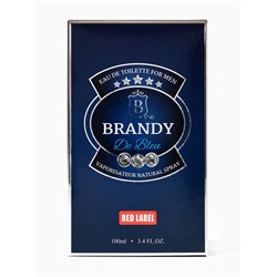 Туалетная вода мужская Brandy De Bleu, 100 мл