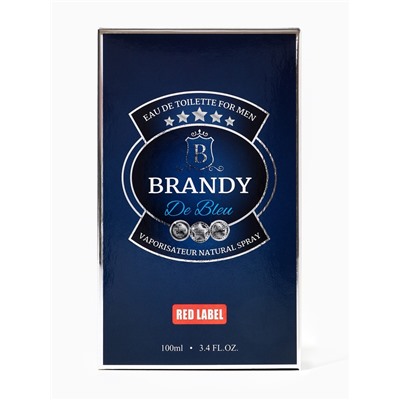 Туалетная вода мужская Brandy De Bleu, 100 мл