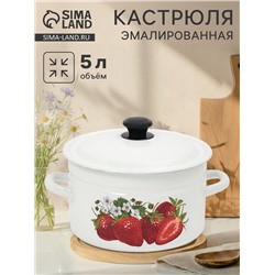 Кастрюля эмалированная, 5 л, d=23.5 см, с крышкой, цилиндрическая, белая