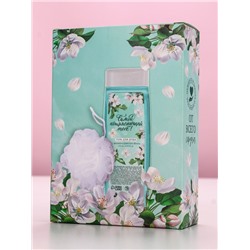 Подарочный набор «Самой потрясающей тебе», гель для душа 250 мл и мочалка для тела, аромат яблока, Чистое счастье