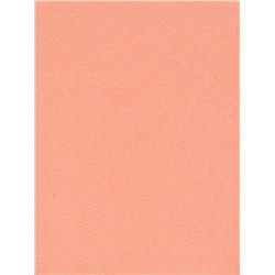 Romantic Note Румяна Blush, тон 05