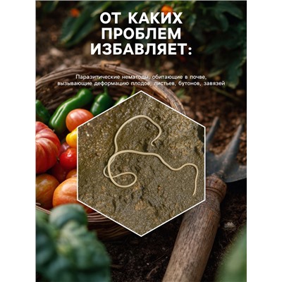 Средство от болезней растений «Флагрин-Д» (Нематодин), 100 г