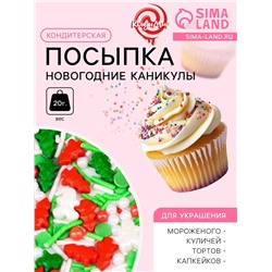 Кондитерская посыпка «Новогодние каникулы», 20 г