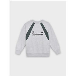 СВИТШОТ ДЛЯ МАЛЬЧИКОВ 123500