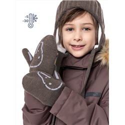 439210 NIKASTYLE Варежки