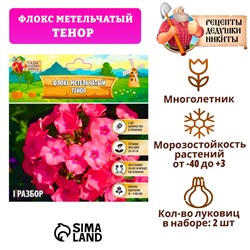 Флокс метельчатый "Тенор", р-р I, Весна 2025, 2 шт