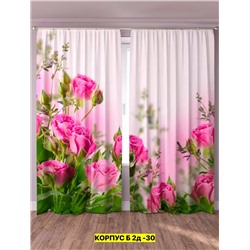Фотошторы 3д 2051777-5