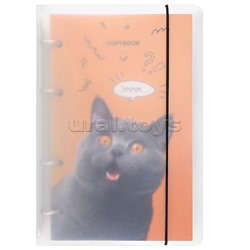 Тетрадь 120л. клетка "Удивлённый котик"