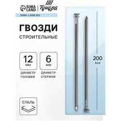 Гвозди ТУНДРА, строительные, ГОСТ 4028-63, без покрытия, 6×200 мм, фасовка 1 кг
