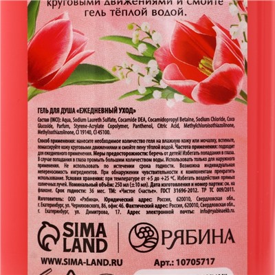 Гель для душа «Сияй ярче всех», 250 мл, аромат ягодный сорбет, Чистое счастье