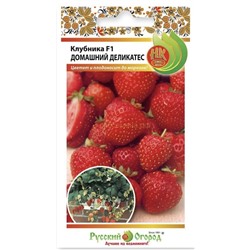 Клубника ( Земляника)  Домашний Деликатес F1 (НК)