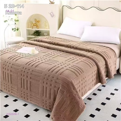 ПЛЕДЫ 2050508-1