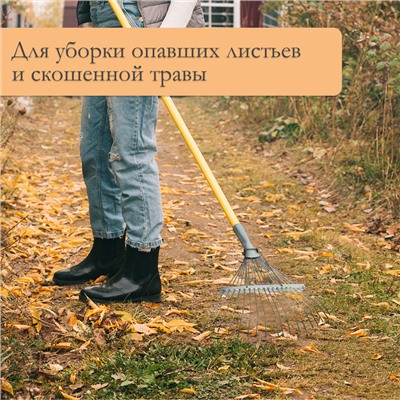 Грабли веерные, проволочные, 18 зубцов, оцинкованные, без черенка