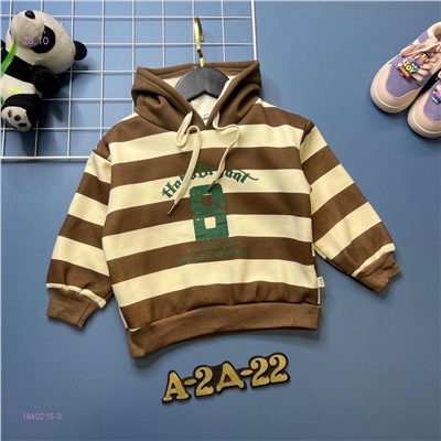 кофта с начесом 1840216-3