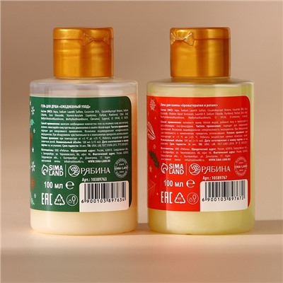 Подарочный набор «Снегопад чудес»: гель для душа и пена для ванны, 2×100 мл, URAL LAB