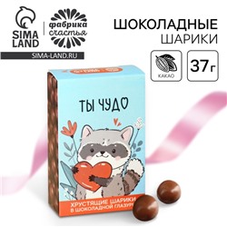 Шоколадные шарики «Ты чудо», 37 г
