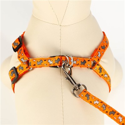 Комплект «Собачки», ширина 1 см, поводок 1.2 м, шлейка 23-35 см, оранжевый