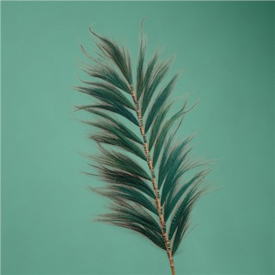 Сухоцвет на бамбуковом стебле, 250 см, зелёный