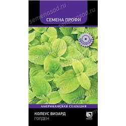 Колеус Визард Голден (Код: 93367)