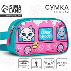 Сумка поясная детская «Котята», 20×11×4 см