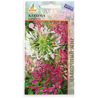 Клеома колючая Королева  (Код: 78316)