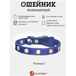 Ошейник, безразмерный, 35×1.5 см, с подпряжником, кожа, синий