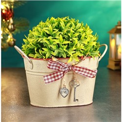 Кашпо «Ведерко Рустад», 14×11×9 см, бежевое