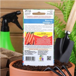 Семена Морковь "Канада", F1, 0.2 г, 150шт.