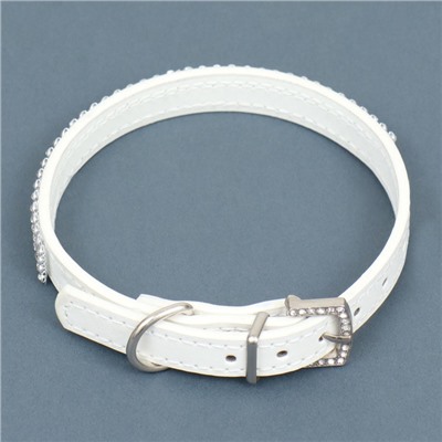 Ошейник со стразами в 4 ряда и стразы на пряжке, 38×1.5 см, ОШ 26-33, белый