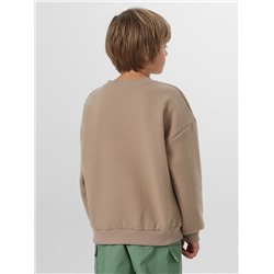 СВИТШОТ ДЛЯ МАЛЬЧИКОВ 123489