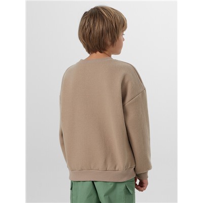 СВИТШОТ ДЛЯ МАЛЬЧИКОВ 123489