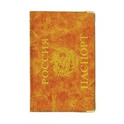 Обложка для паспорта #22595971