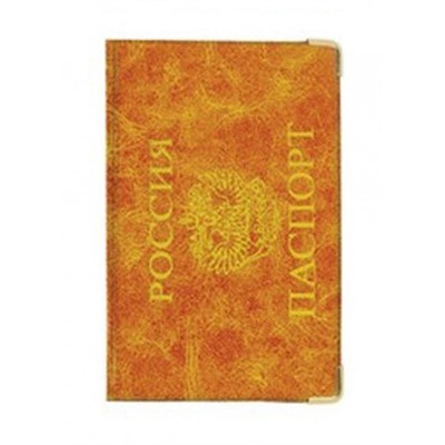 Обложка для паспорта #22595971