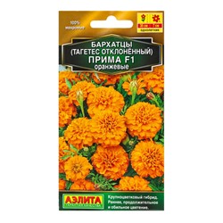 Семена цветов Бархатцы Прима оранжевые F1 отклоненные  Золотая серия, Ц/П,10 шт.