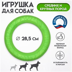 Кольцо «ДогЛайк» D-2612, 8-мигранное, среднее ⌀ 28.5 см, зелёное