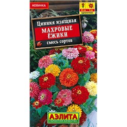 Цинния Махровые ёжики смесь (Код: 93619)