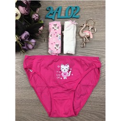 Детский набор трусов " Тройка "