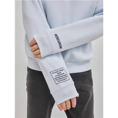 ДЖЕМПЕР МУЖСКОЙ 121801 22/2818П-7П