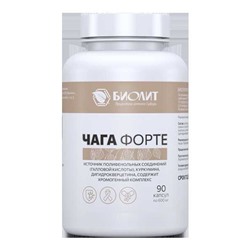 Чага сухой экстракт 90 капс.