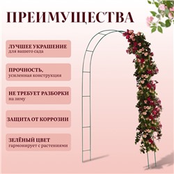 Арка садовая, 240×125×20 см, для вьющихся растений, металлическая, зелёная