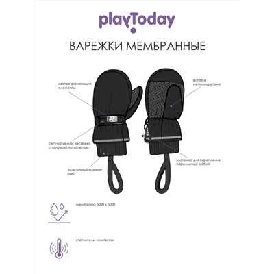 316768 PLAYTODAY Варежки