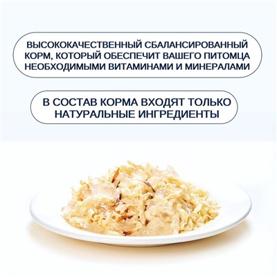 Wanpy Cat Консервы для кошек «Курица с тунцом» 95 г